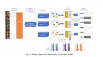 Graph Convolution Neural Network For Weakly Supervised Abnormality Localization In Long Capsule Endoscopy Videos